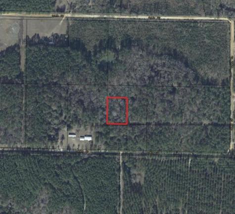 Griffin Circle Westville FL 32464