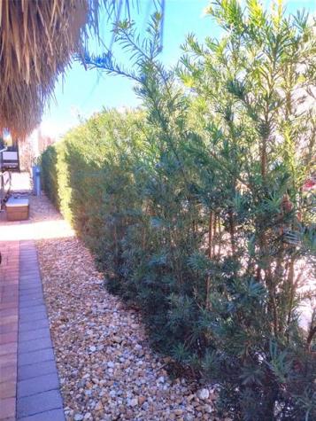 3720 SW 7th Manor Lot 209 Okeechobee FL 34974