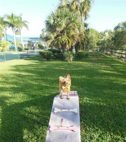3720 SW 7th Manor Lot 209 Okeechobee FL 34974