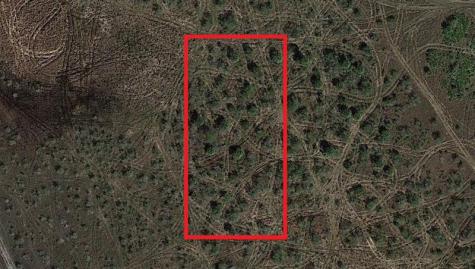 NW 310th Street Okeechobee FL 34972