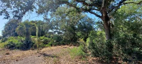 17711 NW 278th Street Okeechobee FL 34972