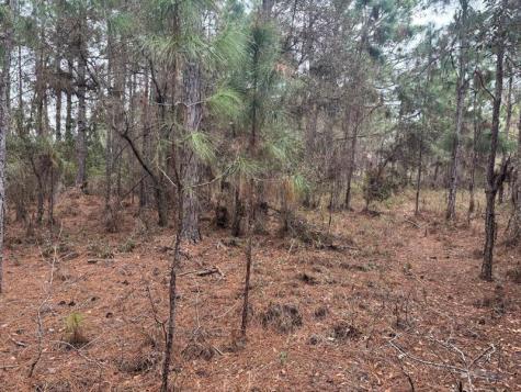 Old Grade Road Other City - In The State Of Florida FL 33868