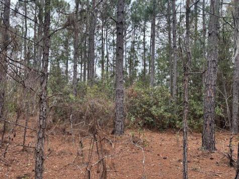Old Grade Road Other City - In The State Of Florida FL 33868