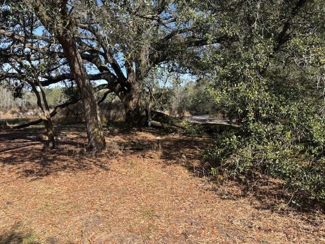 County Road 54 E Kathleen FL 33849