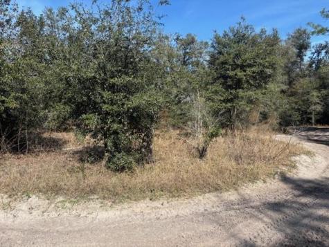 County Road 54 E Kathleen FL 33849
