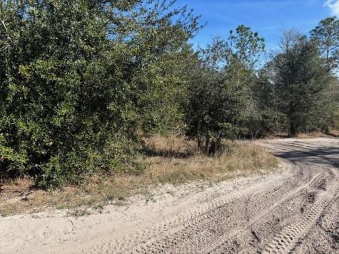 County Road 54 E Kathleen FL 33849