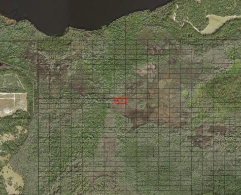 Holopaw Groves Road St. Cloud FL 34772