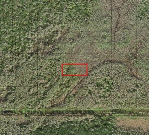Holopaw Groves Road St. Cloud FL 34772