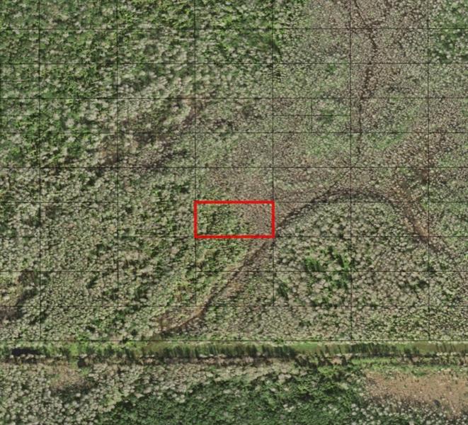 Holopaw Groves Road St. Cloud FL 34772
