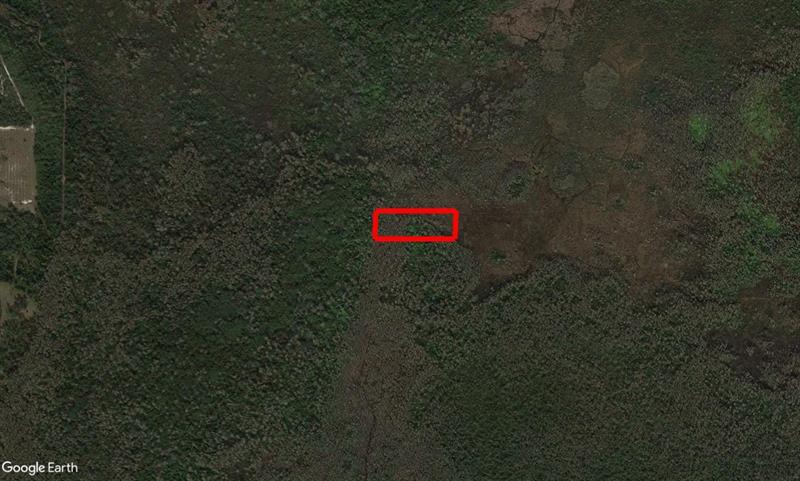 Holopaw Groves Road St. Cloud FL 34772