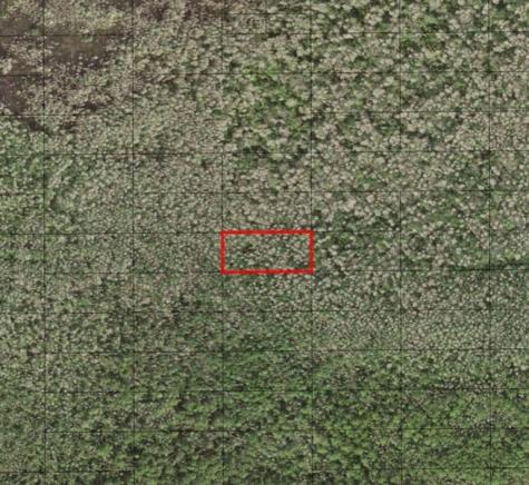 Holopaw Groves Road St. Cloud FL 34772