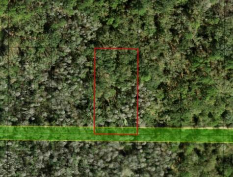County Road 54 E Kathleen FL 33849