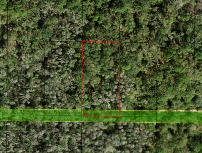 County Road 54 E Kathleen FL 33849