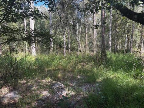 County Road 54 E Kathleen FL 33849