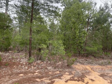 Gray Street Interlachen FL 32148