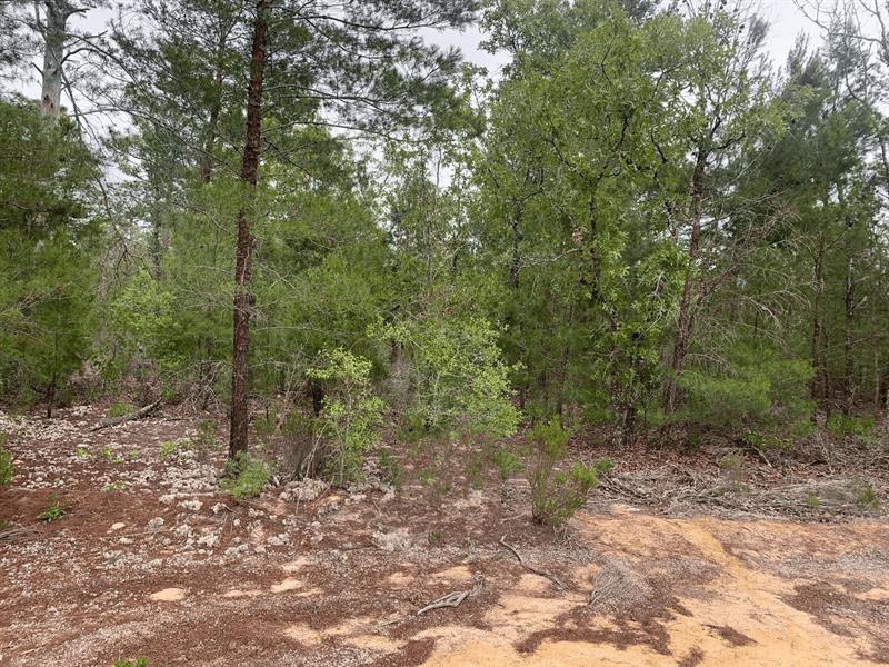 Gray Street Interlachen FL 32148