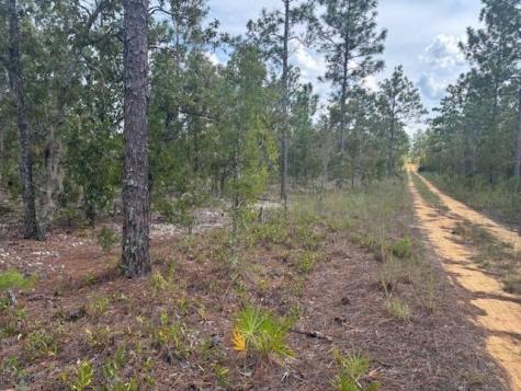 Gray Street Interlachen FL 32148