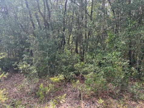 Gray Street Interlachen FL 32148