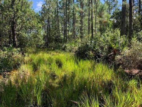 Old Grade Road Other City - In The State Of Florida FL 33868