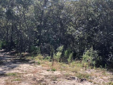 Maine Avenue Interlachen FL 32148