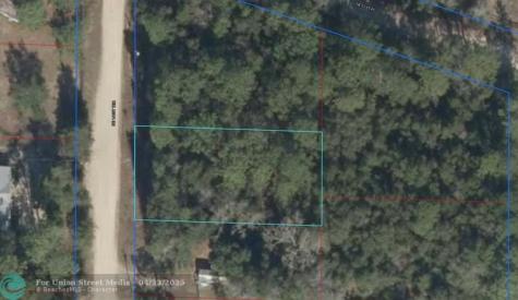 NE 144 Terrace Williston FL 32696