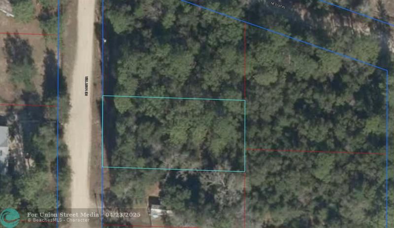 NE 144 Terrace Williston FL 32696