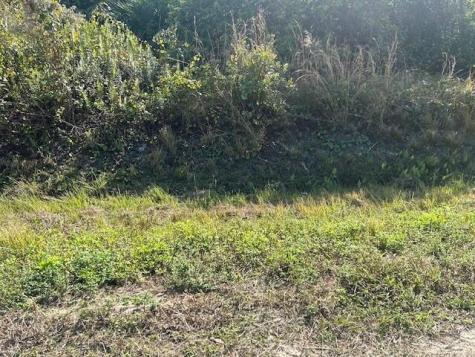14938 NW 254th Street Okeechobee FL 34972