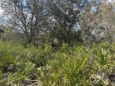NW 300th Street Okeechobee FL 34972