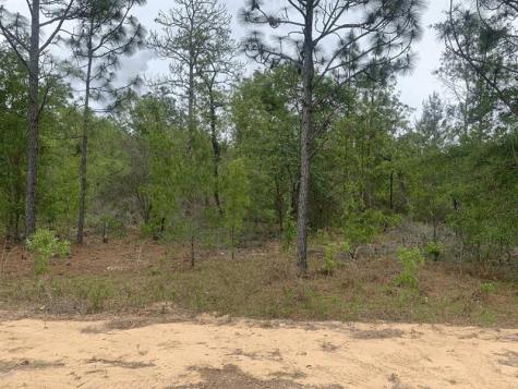 May Lane Interlachen FL 32148