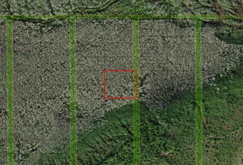 Holopaw Groves Road St. Cloud FL 34772