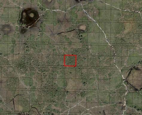 NW 312th Street Okeechobee FL 34972
