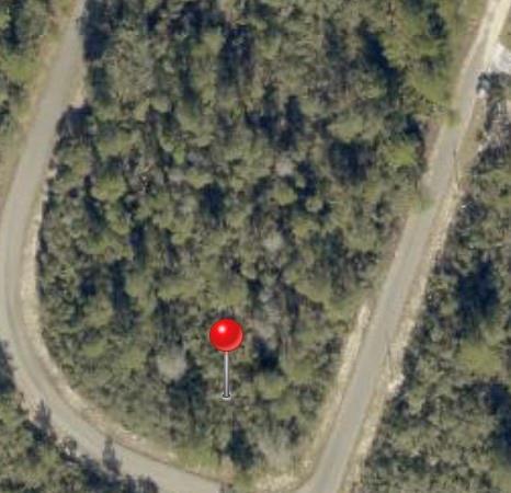 TBD FISHER WAY TRACK Fisher Way Ocklawaha FL 32179