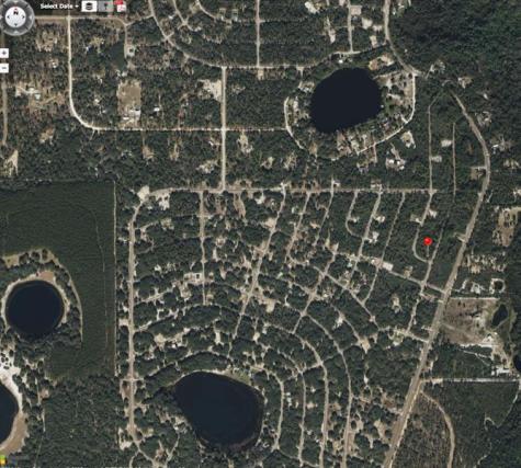 TBD FISHER WAY TRACK Fisher Way Ocklawaha FL 32179