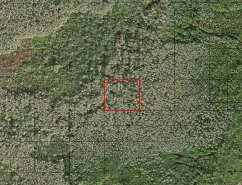 Holopaw Groves Road St. Cloud FL 34772