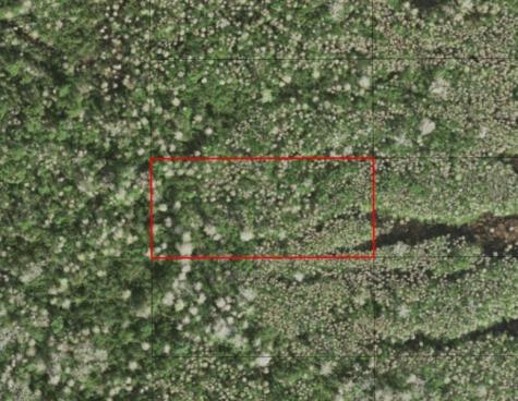 Holopaw Groves Road St. Cloud FL 34772