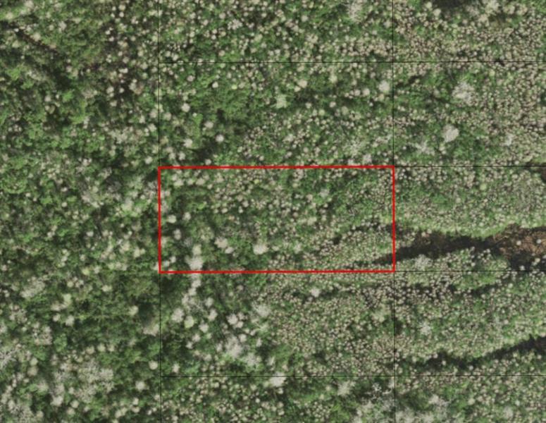 Holopaw Groves Road St. Cloud FL 34772