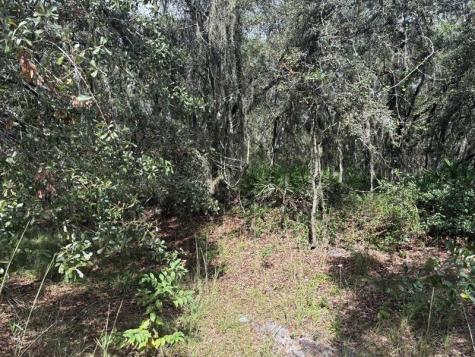 County Road 54 E Kathleen FL 33849