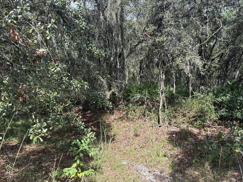County Road 54 E Kathleen FL 33849
