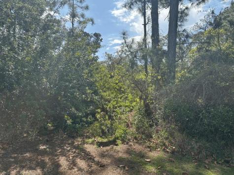 229 Caswell Lane Lake Placid FL 33852
