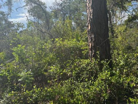 229 Caswell Lane Lake Placid FL 33852