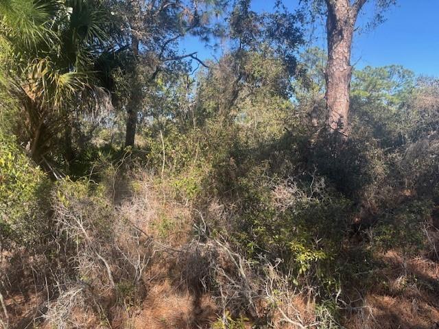 221 Rainbow Drive Lake Placid FL 33852
