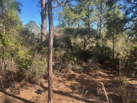 221 Rainbow Drive Lake Placid FL 33852