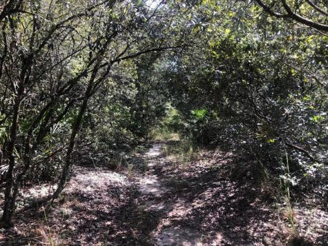 Oregon Street Interlachen FL 32148