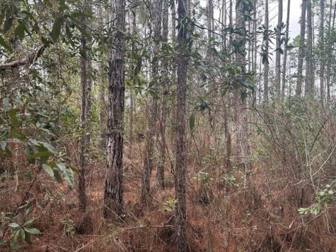 Old Grade Road Other City - In The State Of Florida FL 33868