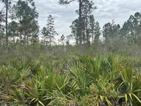 Old Grade Road Other City - In The State Of Florida FL 33868