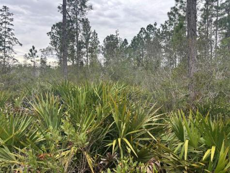 Old Grade Road Other City - In The State Of Florida FL 33868