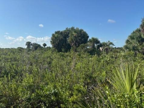 NW 316th Street Okeechobee FL 34972
