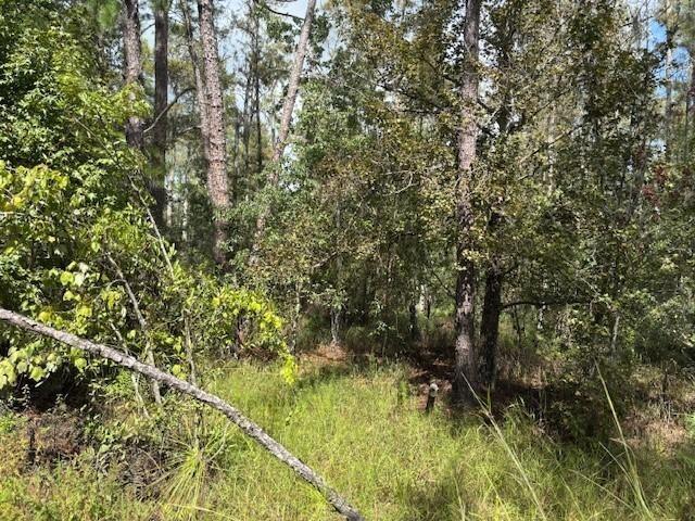 County Road 54 E Kathleen FL 33849