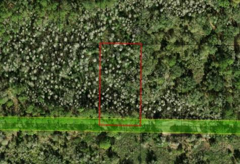 County Road 54 E Kathleen FL 33849