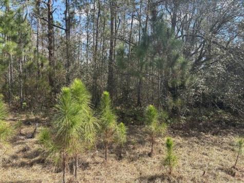 Old Grade Road Other City - In The State Of Florida FL 33868